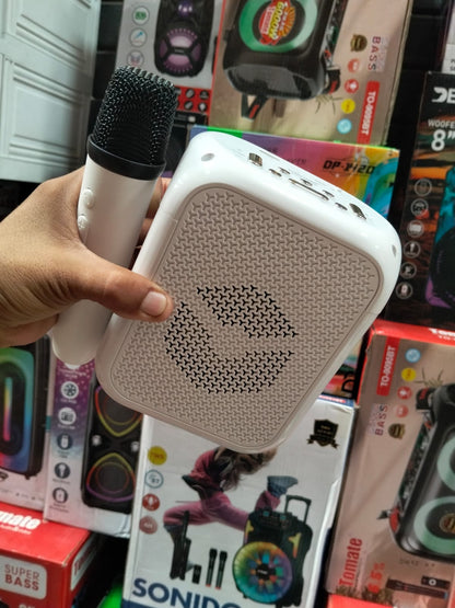 parlante Bluetooth karaoke con microfono inalambrico Cod:1365 driver:01