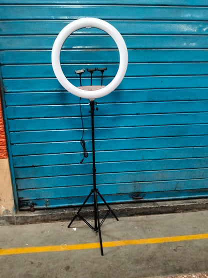 Aro led 56 cm con tripode 2.10 cod:1259 driver:03